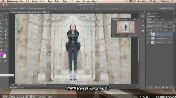 琳西 Photoshop商业人像后期修图调色教程【中文字幕】 收集整理 第2张